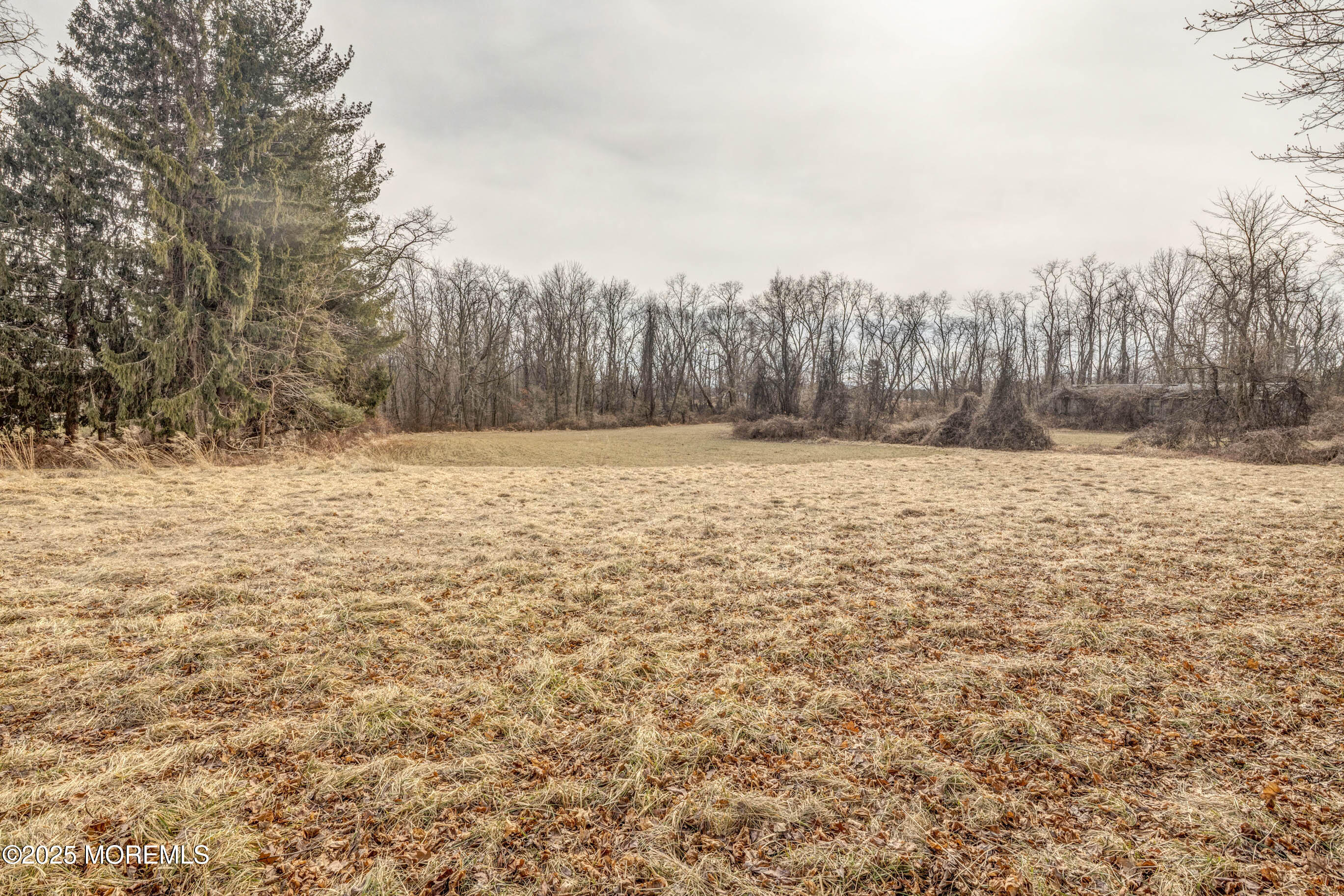 16 Pleasant Valley Road Morganville, NJ 07751 - Photo 7 of 18 a view of yard with trees