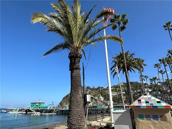 a palm tree sitting in front of a building