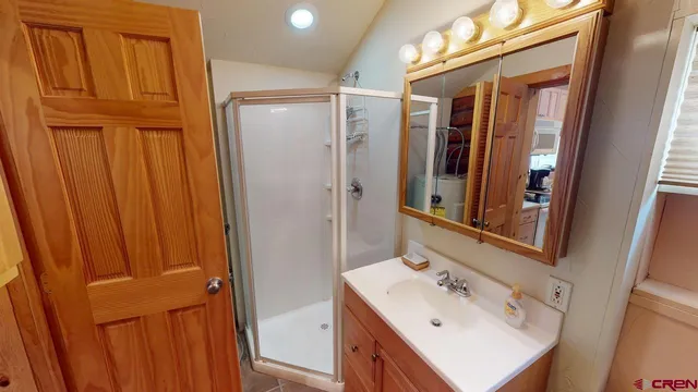 a bathroom with a sink a mirror and a shower