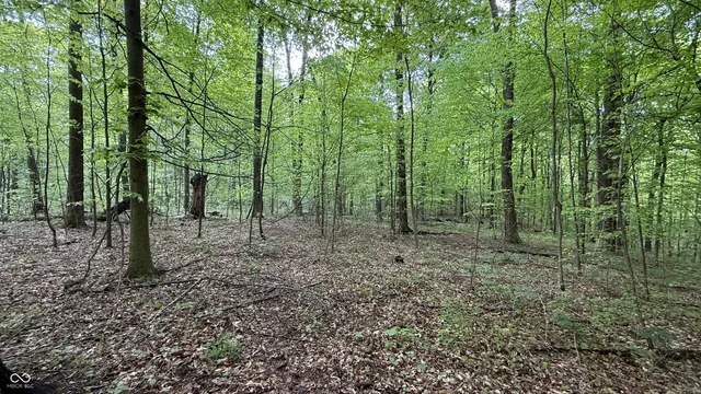 $839,000 | 0 Fiscus Cemetery Road, Coal City, IN 47427