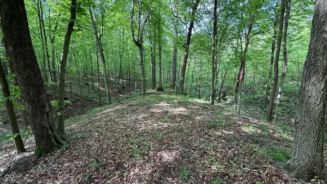 $839,000 | 0 Fiscus Cemetery Road, Coal City, IN 47427