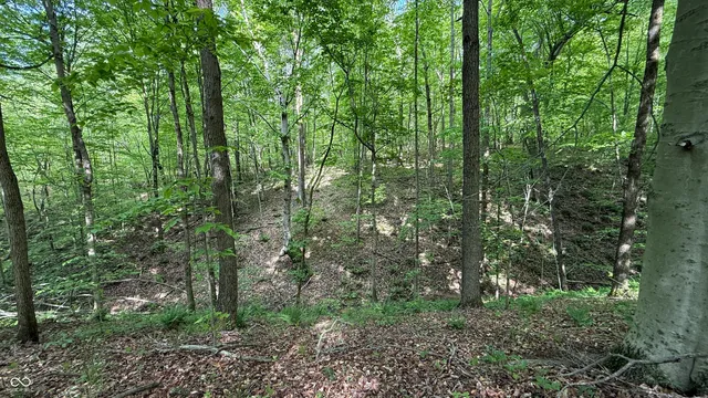 $839,000 | 0 Fiscus Cemetery Road, Coal City, IN 47427