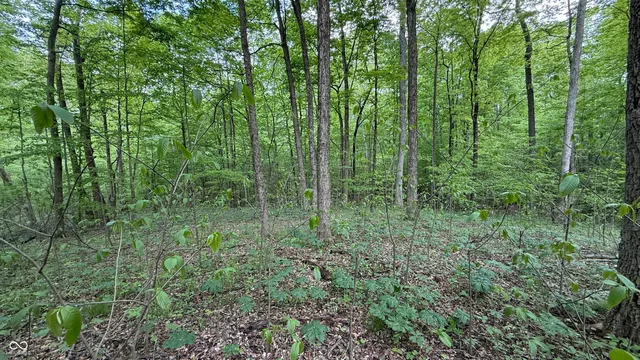 $839,000 | 0 Fiscus Cemetery Road, Coal City, IN 47427