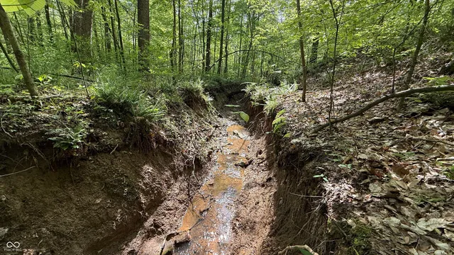 $839,000 | 0 Fiscus Cemetery Road, Coal City, IN 47427