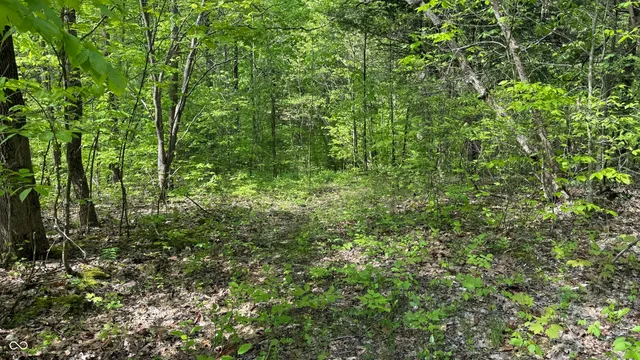 $839,000 | 0 Fiscus Cemetery Road, Coal City, IN 47427