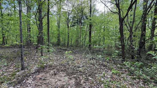 $839,000 | 0 Fiscus Cemetery Road, Coal City, IN 47427