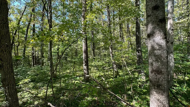 $839,000 | 0 Fiscus Cemetery Road, Coal City, IN 47427