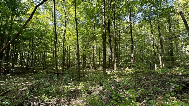 $839,000 | 0 Fiscus Cemetery Road, Coal City, IN 47427