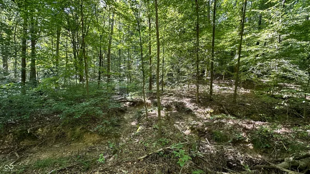 $839,000 | 0 Fiscus Cemetery Road, Coal City, IN 47427