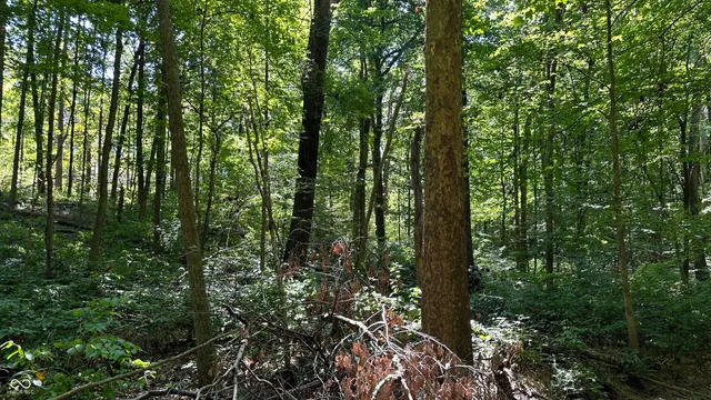 $839,000 | 0 Fiscus Cemetery Road, Coal City, IN 47427