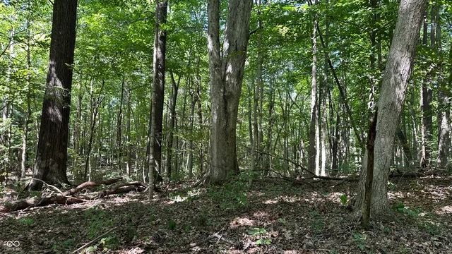 $839,000 | 0 Fiscus Cemetery Road, Coal City, IN 47427