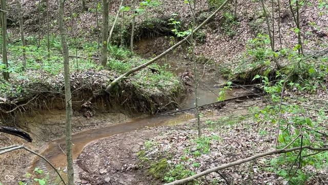 $839,000 | 0 Fiscus Cemetery Road, Coal City, IN 47427