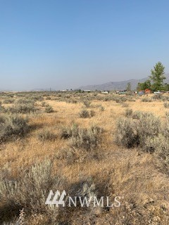 1 Bide-A-Wee Road Omak, WA 98841 - Photo 5 of 22