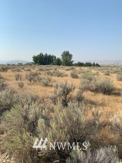 1 Bide-A-Wee Road Omak, WA 98841 - Photo 7 of 22
