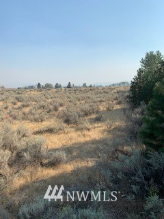 1 Bide-A-Wee Road Omak, WA 98841 - Photo 9 of 22