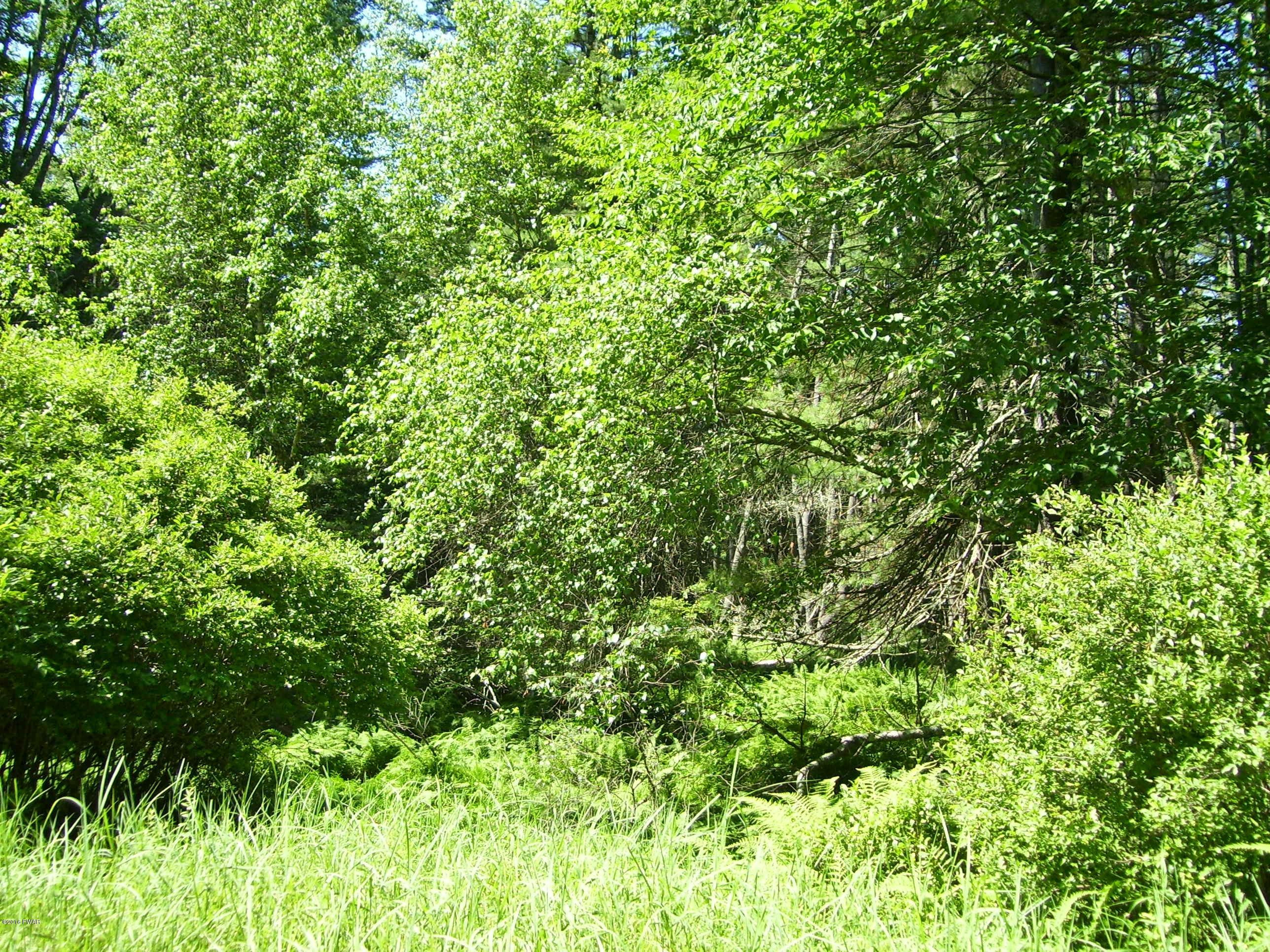 Lot #2 Rebels Road Hawley, PA 18428 - Photo 1 of 8