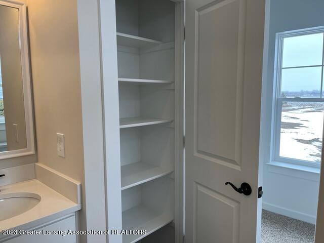 3145 Wildcat Road St. Johns, MI 48879 - Photo 37 of 60 IMG_9304