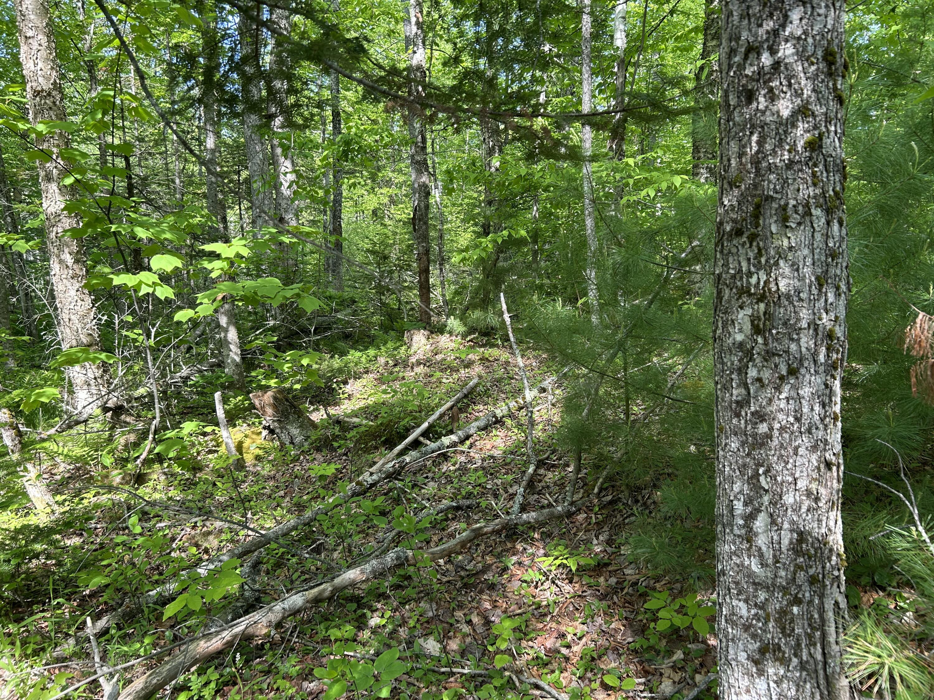 M5-l13 Clark Road Prospect, ME 04981 - Photo 18 of 33 IMG_8816
