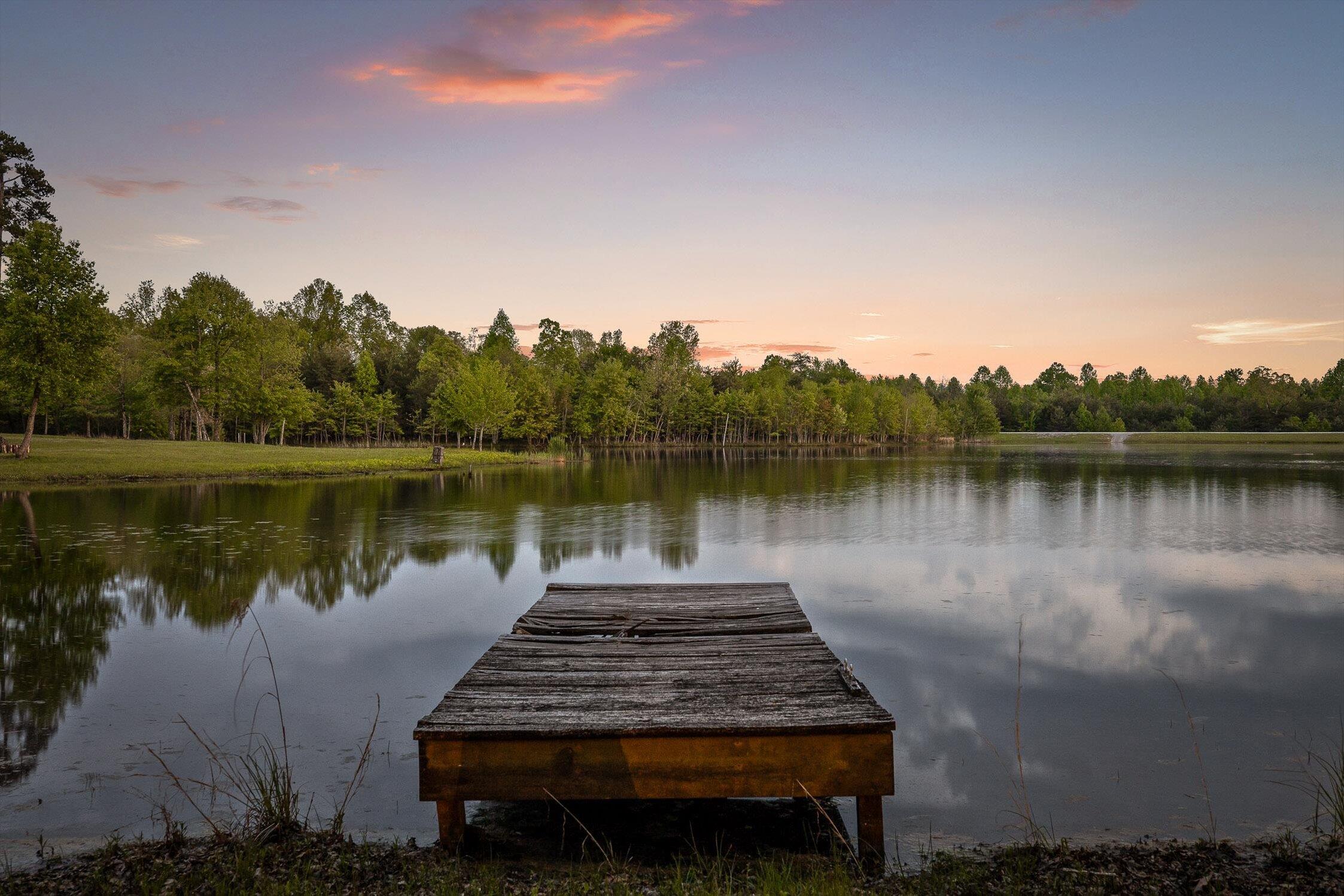 234 Reflection Drive Dunlap, TN 37327 - Photo 11 of 88 91-Reflection-90