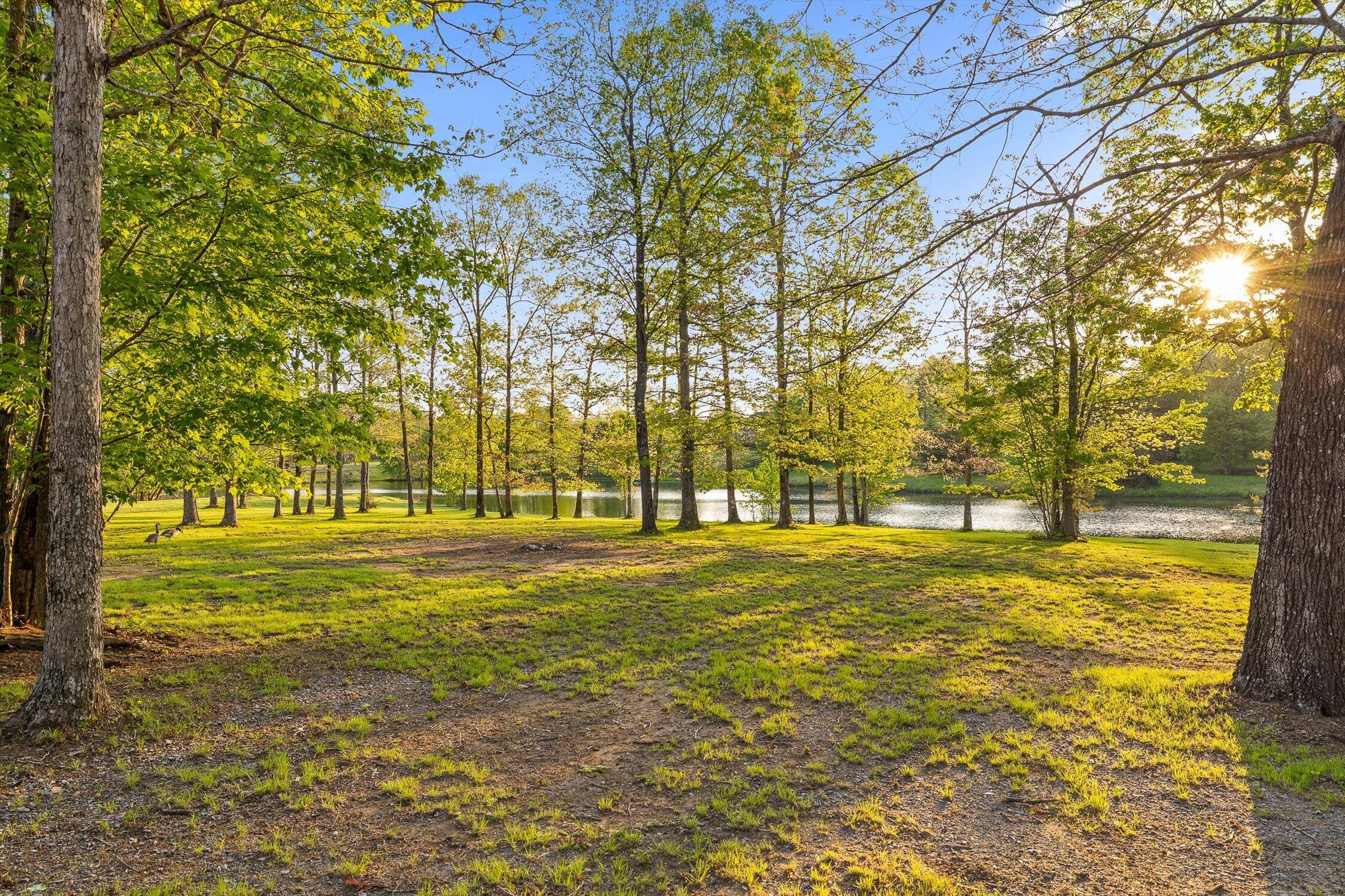 234 Reflection Drive Dunlap, TN 37327 - Photo 18 of 88 46-Reflection-44