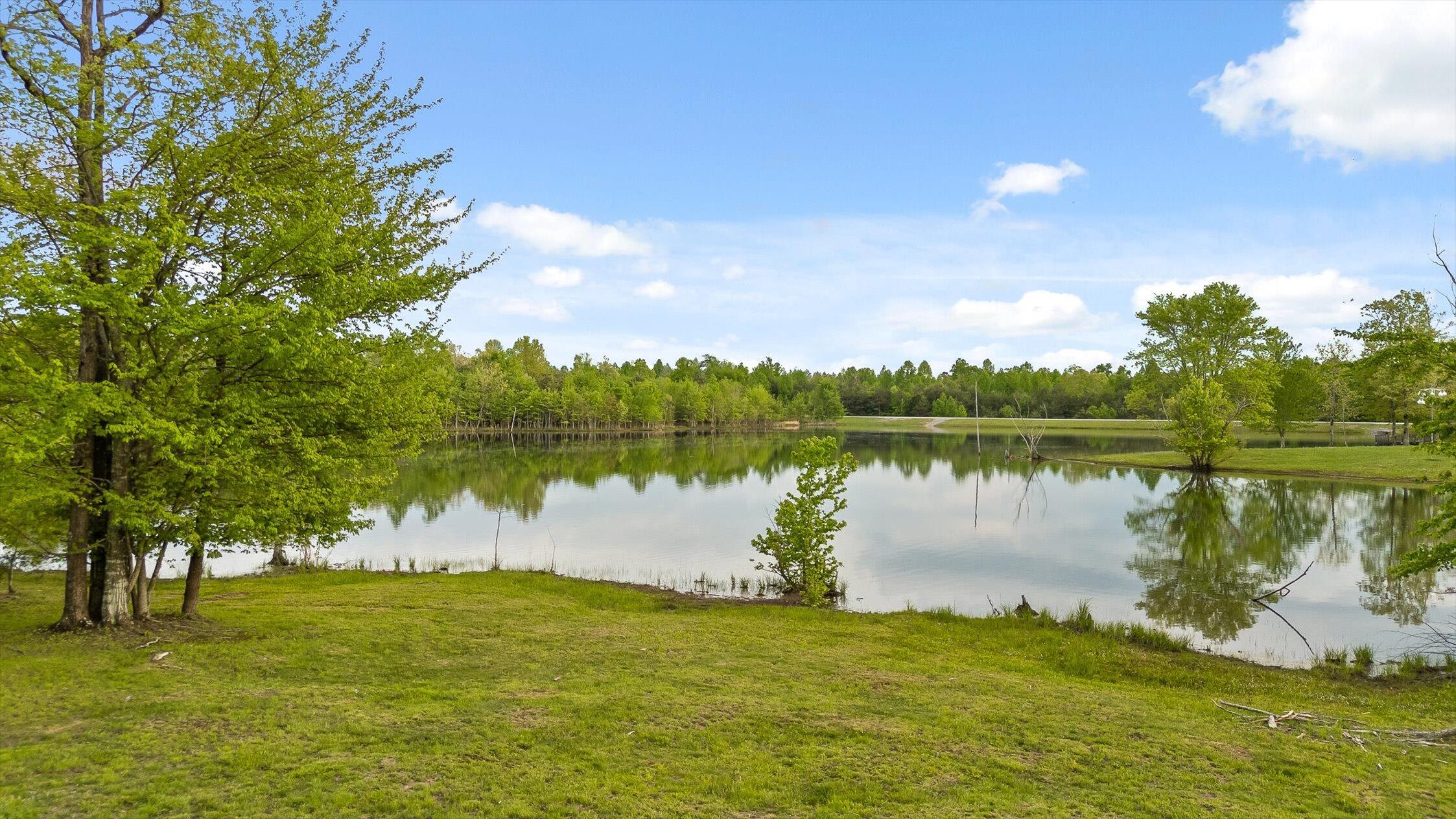 234 Reflection Drive Dunlap, TN 37327 - Photo 69 of 88 77-Reflection-75