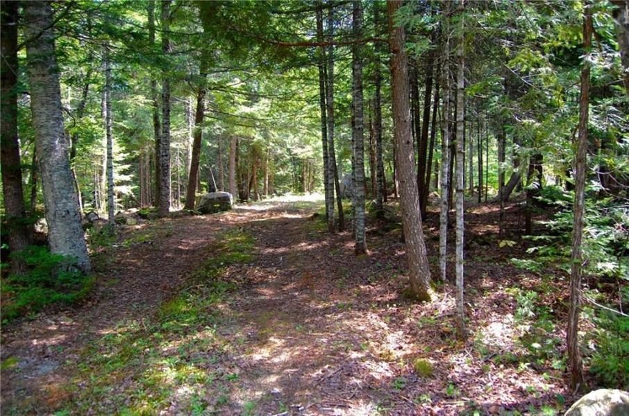 244 Sandy Cove Road Belgrade, ME 04917 - Photo 30 of 76 Driveway