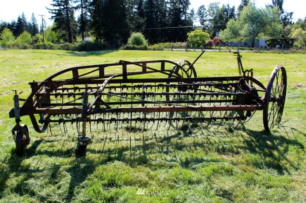 33113 Locke Road Roy, WA 98580 - Photo 21 of 23 Gallery Image 21