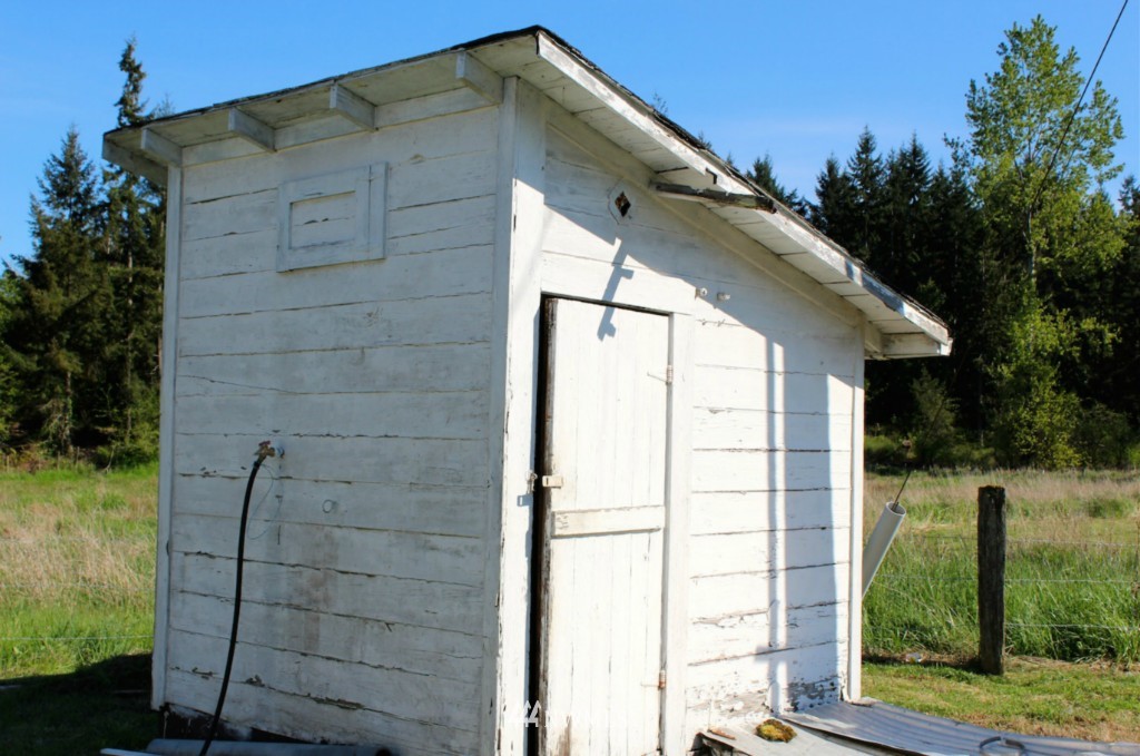 33113 Locke Road Roy, WA 98580 - Photo 23 of 23 Gallery Image 23