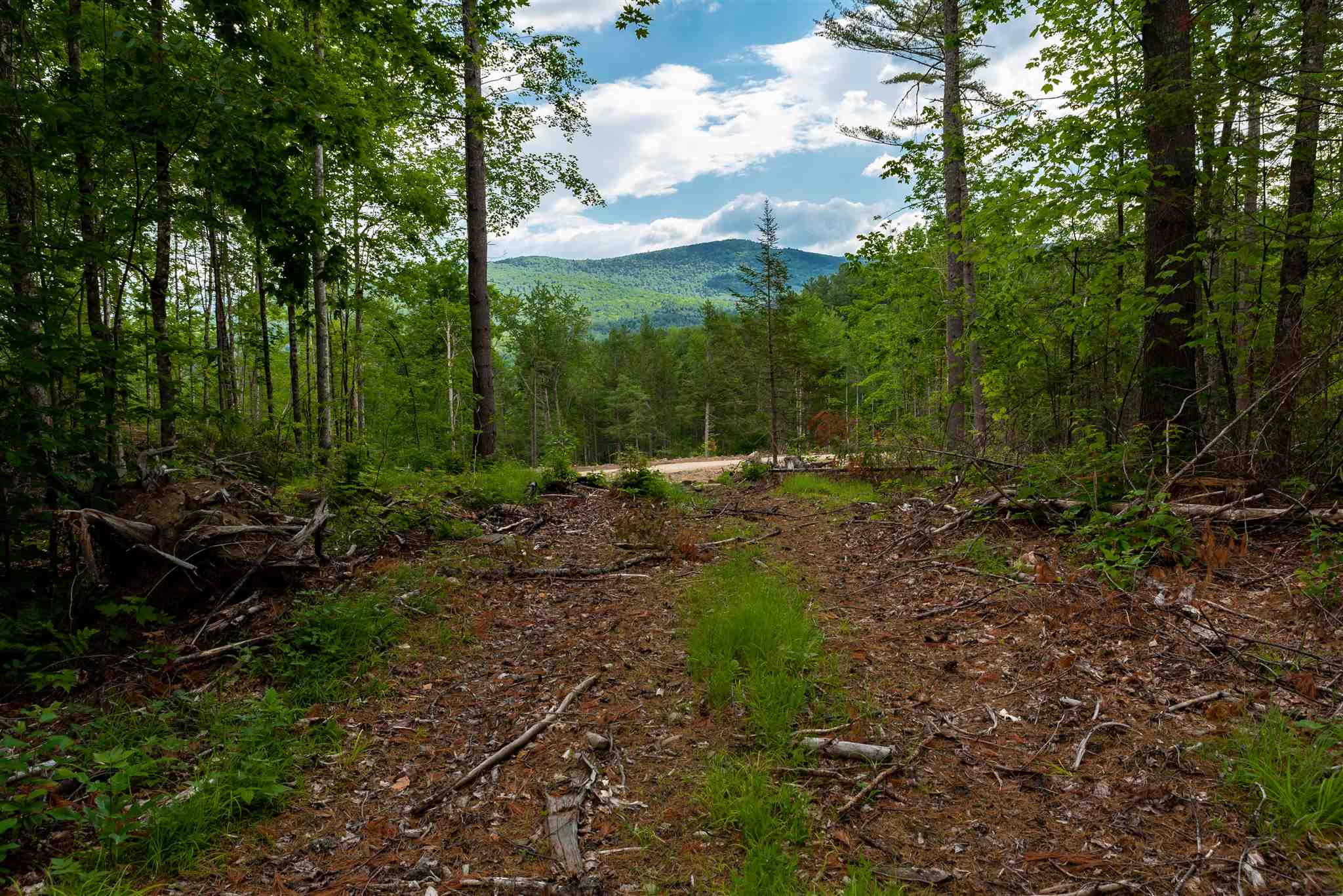 0 Town Hall Road, Unit R30 / 3 Jackson, NH 03846 - Photo 4 of 13