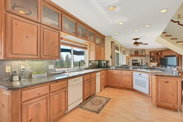 a view of a yard with plants and a bench