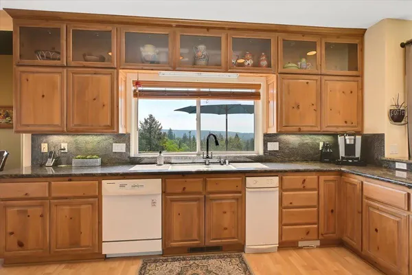 a aerial view of a house with a big yard plants and large tree
