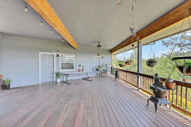 a view of a backyard with plants and outdoor seating