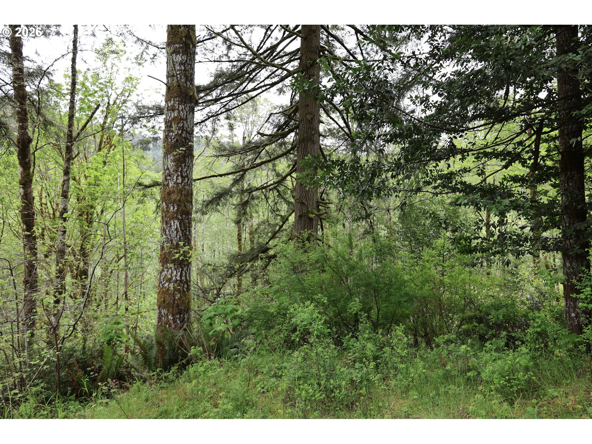 Sun Lake Lakeside, OR 97449 - Photo 17 of 22