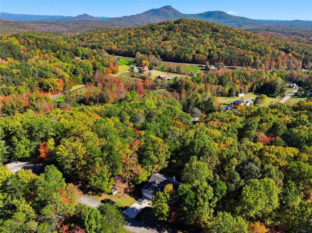 622 Spring Crest Road Cleveland, GA 30528 - Photo 46 of 48 a view of a city with a mountain