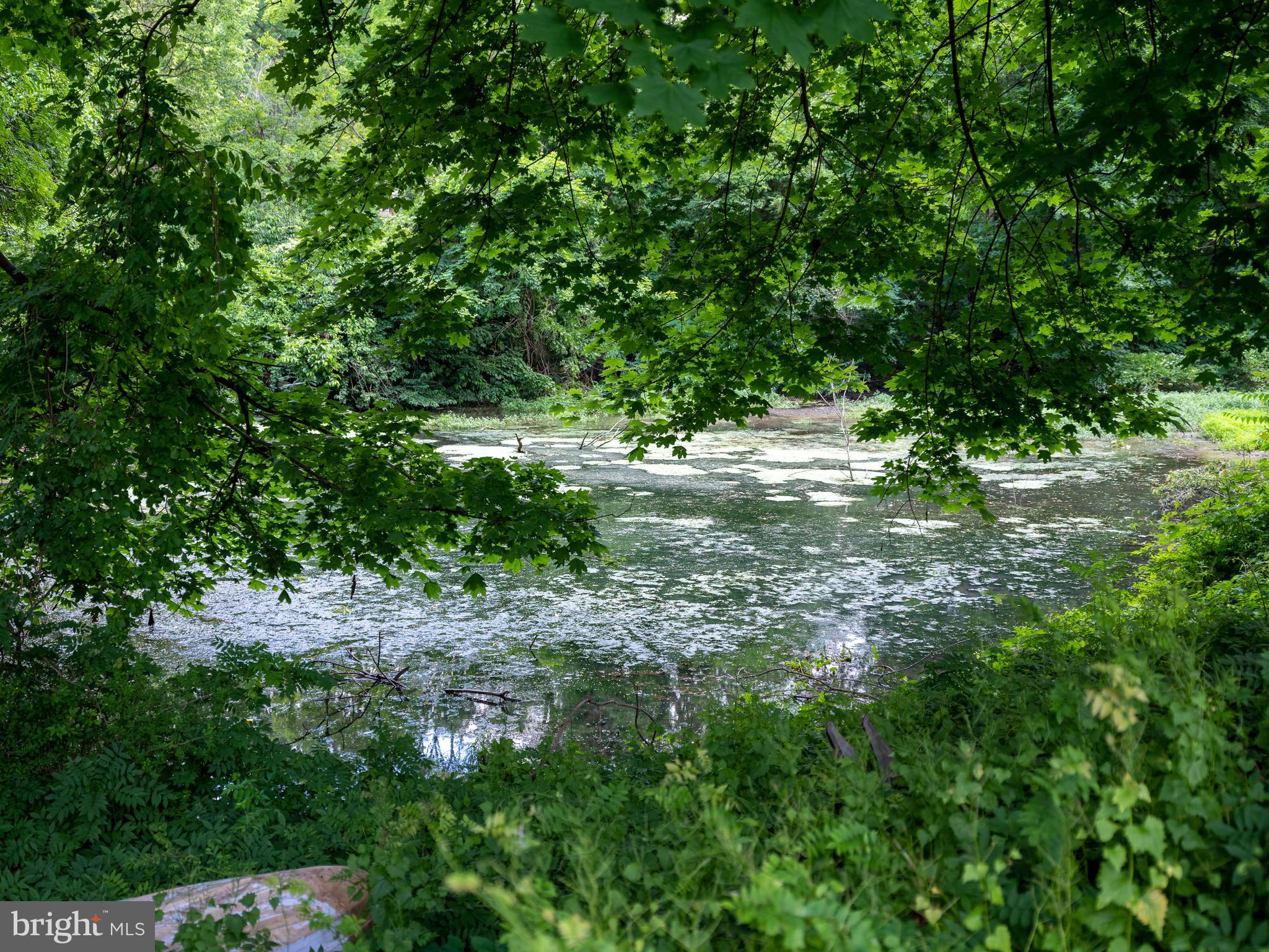 242 Waverly Road Wyncote, PA 19095 - Photo 37 of 38 Stream-fed pond