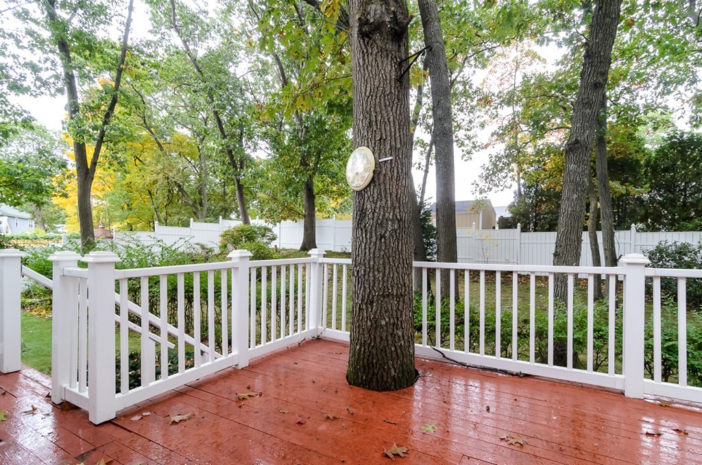11 Melvin Road Arlington, MA 02474 - Photo 26 of 29
