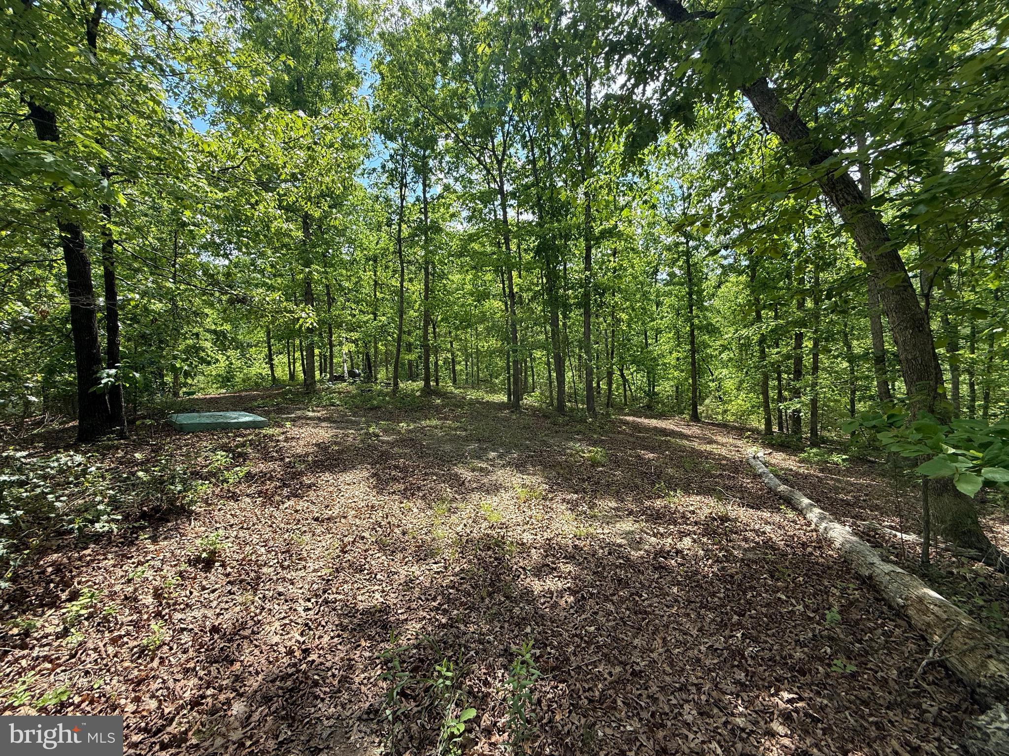 4612 King William Road Aylett, VA 23009 - Photo 10 of 10 Gallery Image 10