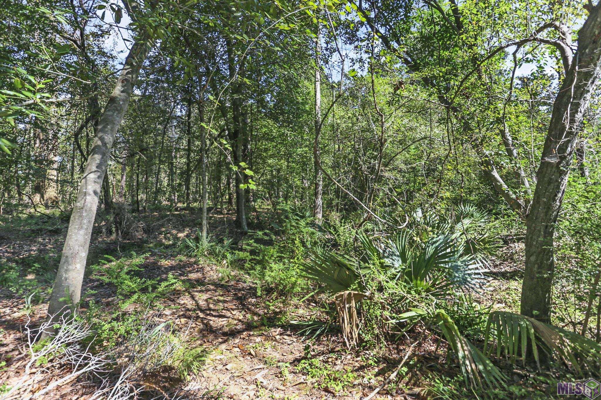 23163 Hoo Shoo Too Road Baton Rouge, LA 70817 - Photo 17 of 19