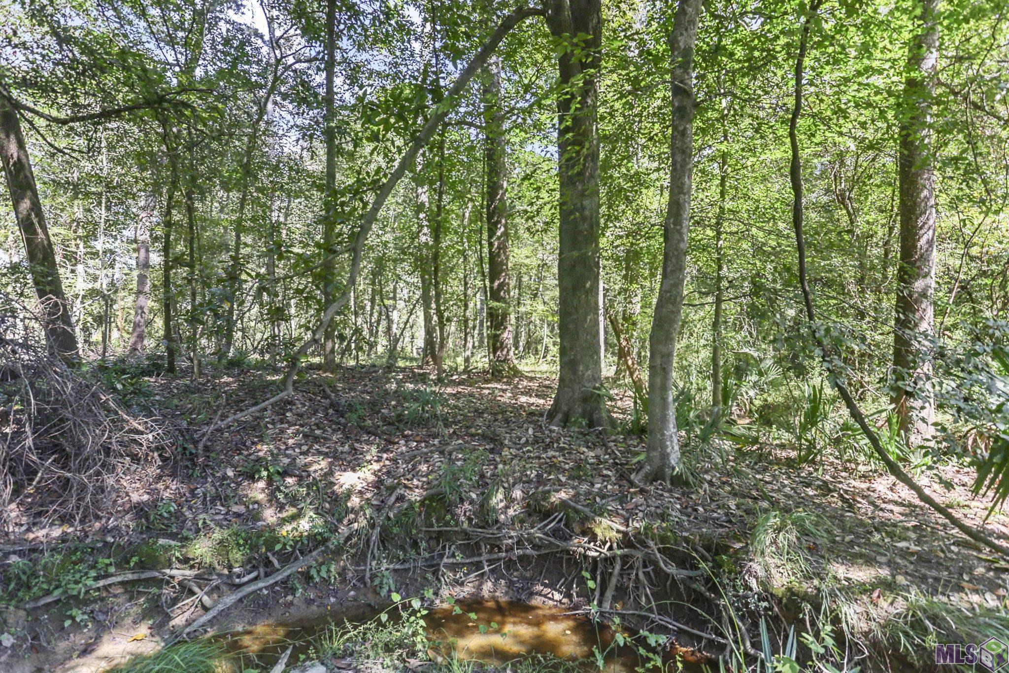 23163 Hoo Shoo Too Road Baton Rouge, LA 70817 - Photo 19 of 19