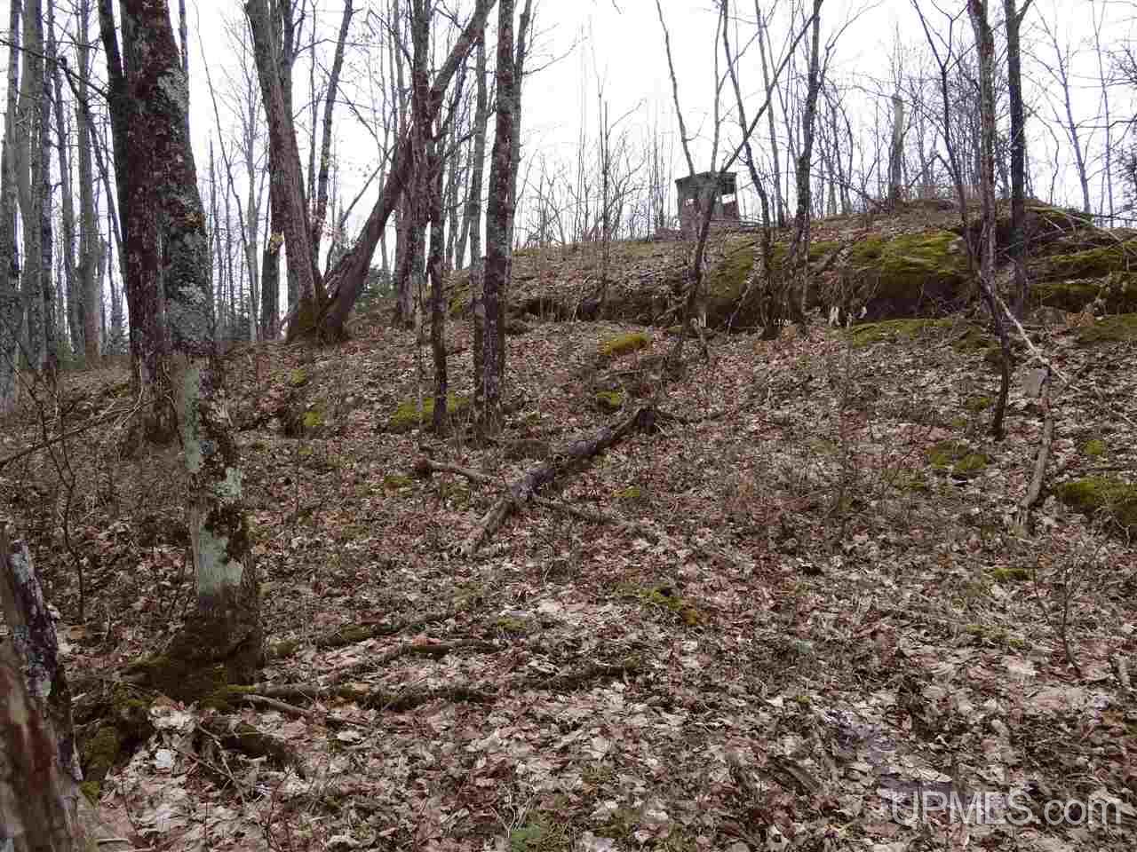 Tbd Dogpatch Road, Unit LOT I Lanse, MI 49946 - Photo 11 of 25