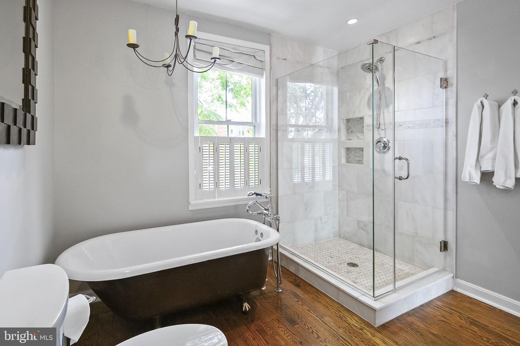 521 5th Street Northeast Washington, DC 20002 - Photo 26 of 48 Gorgeous clawfoot tub and marble shower