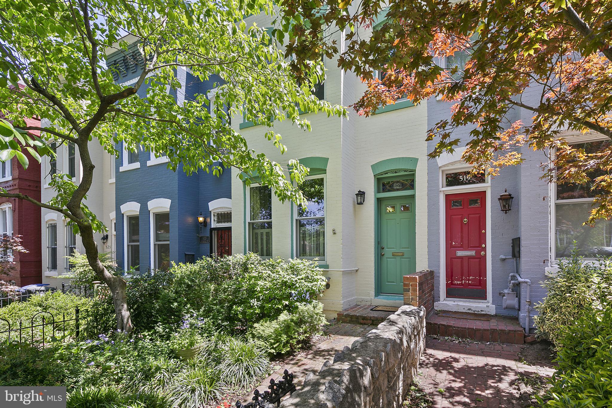 521 5th Street Northeast Washington, DC 20002 - Photo 44 of 48 The dogwood is beautiful in the spring!