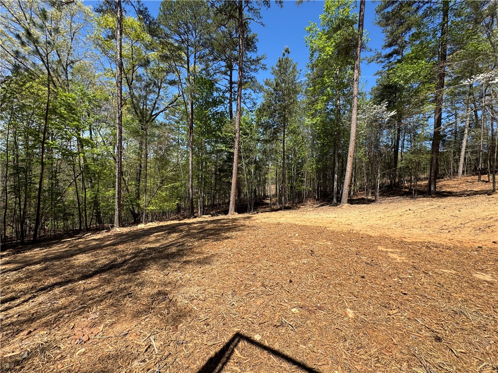 940 Coachmans Trail West Union, SC 29696 - Photo 31 of 41 This expansive lot, enveloped by lush trees, offers a serene natural setting.