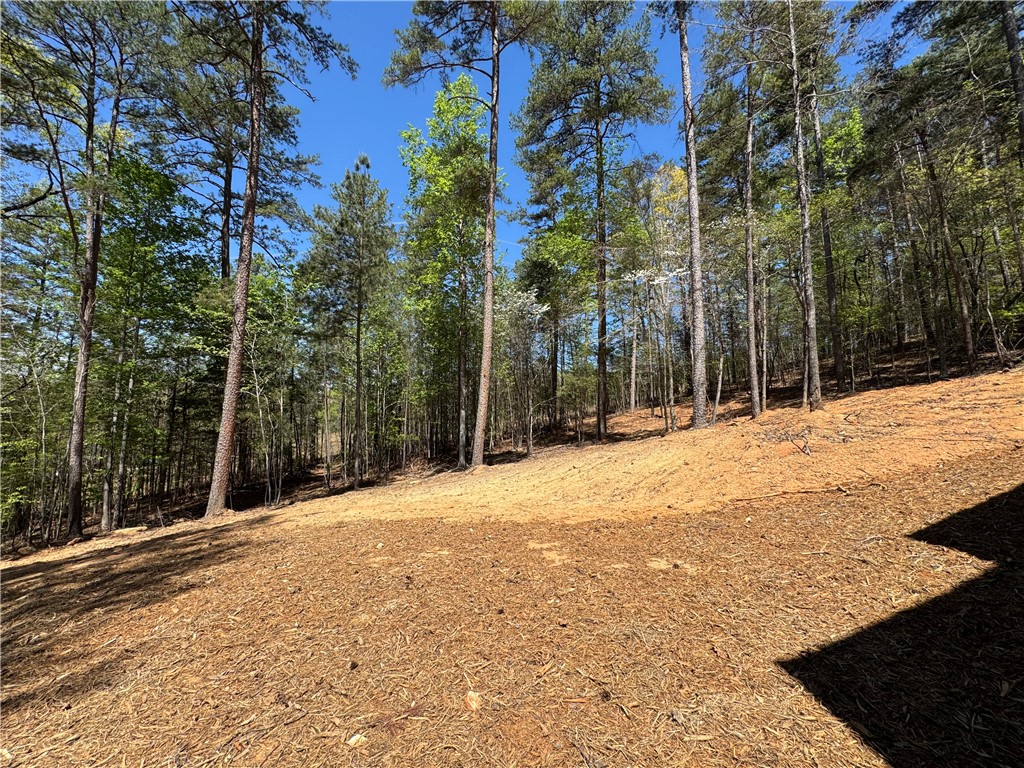940 Coachmans Trail West Union, SC 29696 - Photo 32 of 41 This tranquil wooded lot offers a peaceful retreat for your ideal home.