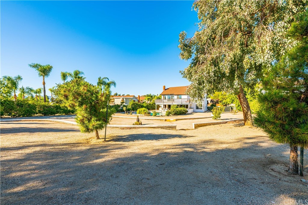 22041 Windtree Avenue Wildomar, CA 92595 - Photo 43 of 47 a view of yard with swimming pool and trees