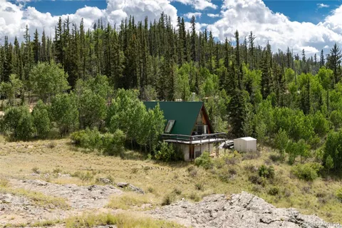 a view of a forest with a fountain