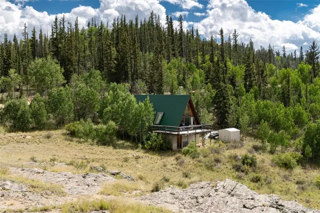 a view of a forest with a fountain