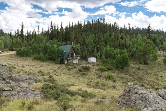 a view of a park with large trees