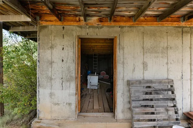 a view of a dry yard