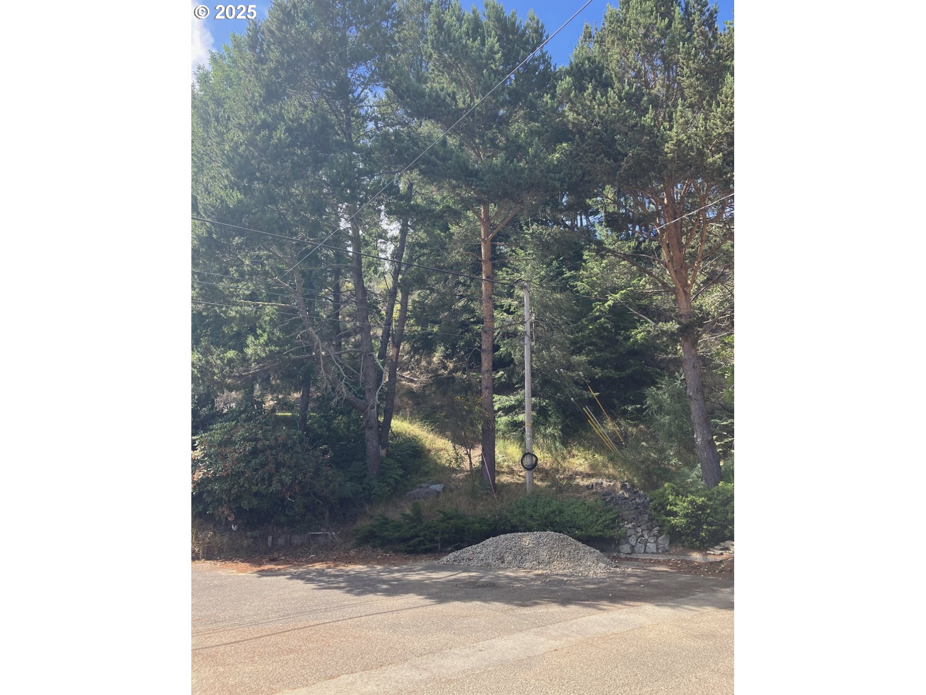 a view of a tree in front of a house